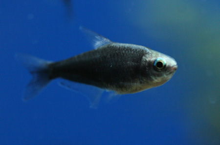 a0162263_19285417.jpg