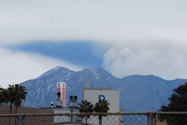 ＳＡＫＵＲＡＪＩＭＡ_f0189867_1837656.jpg