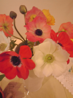 e0200269_16431168.jpg