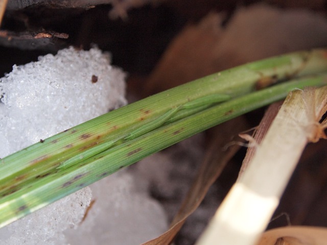 b0194593_22271830.jpg
