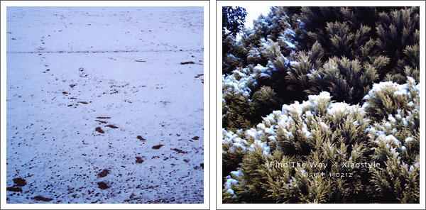 Xiaostyle 005 〜 The Ground Covered with Snow_f0054594_54485.jpg