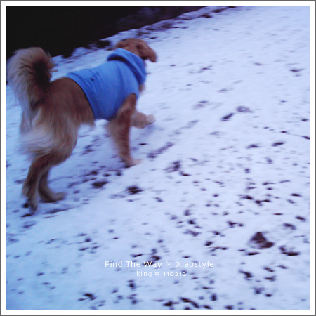 Xiaostyle 005 〜 The Ground Covered with Snow_f0054594_552843.jpg