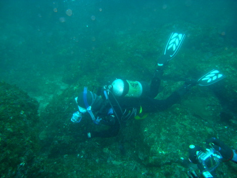 e0115199_1345887.jpg