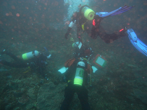 e0115199_1356492.jpg