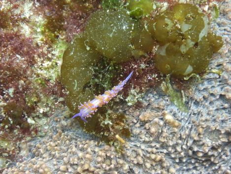 e0115199_14335192.jpg