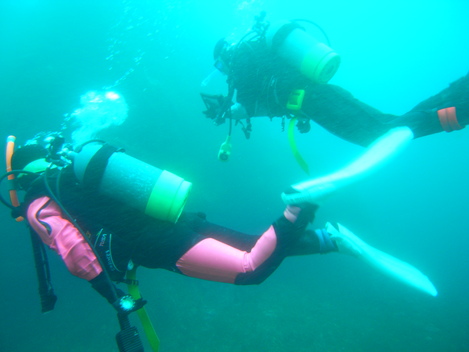 e0115199_1445265.jpg