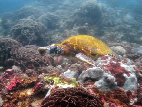 e0115199_149577.jpg