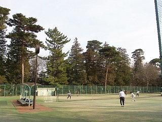 2011年2月19日（土） ； 曇り～晴れ_d0051601_23445152.jpg