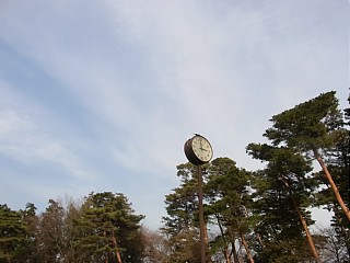 2011年2月19日（土） ； 曇り～晴れ_d0051601_23465824.jpg