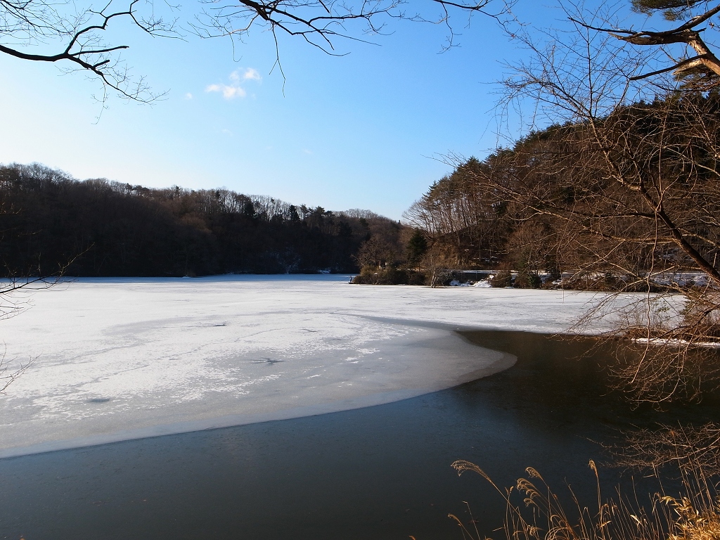 春の気配_b0050305_18403478.jpg