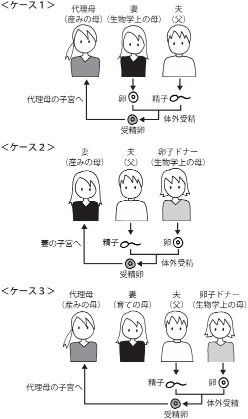 自分の遺伝子を受け継がない胎児を持ったヒトという動物_c0025115_21591831.jpg