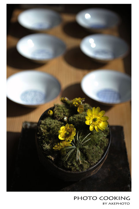 花のあしらひ　　～福寿草～_e0127416_11294257.jpg
