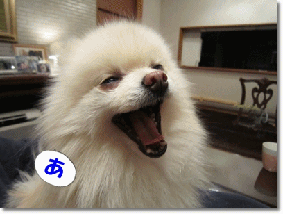 b0167519_21203122.gif