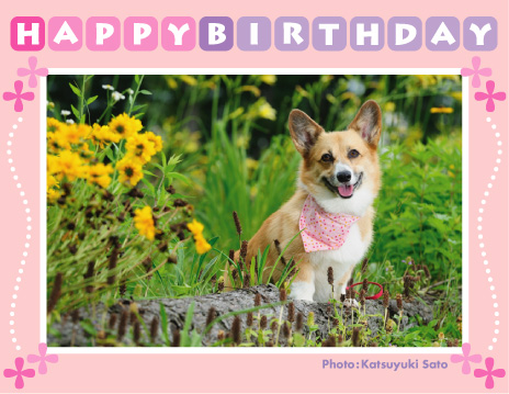 くるみちゃん、お誕生日おめでとう♪_d0102523_012720.jpg