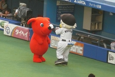 マーフィーも癒され♪_b0166128_10124152.jpg