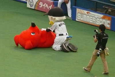 マーフィーも癒され♪_b0166128_10382994.jpg
