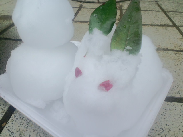 a0046530_0524013.jpg
