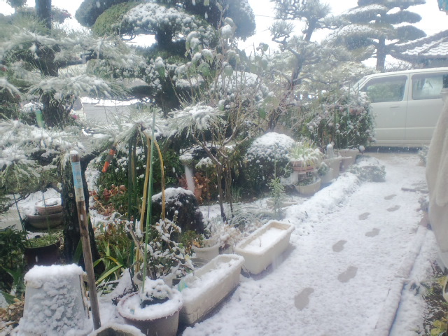 a0046530_0524014.jpg