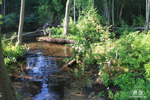 c0211532_1750445.jpg