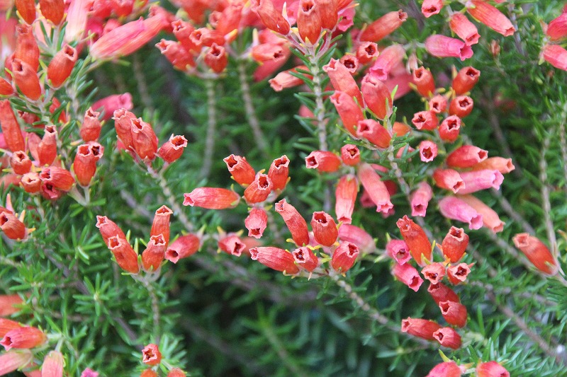 e0052135_2213058.jpg