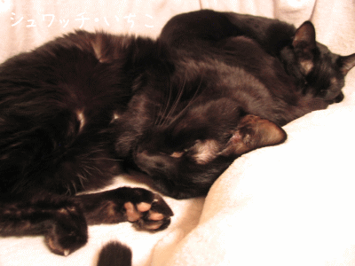 a0166338_135436100.gif