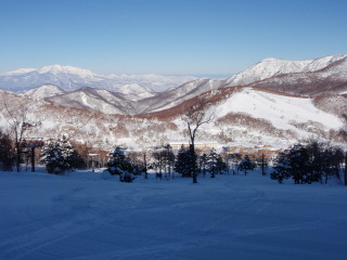 見回り担当_a0023246_1053496.jpg