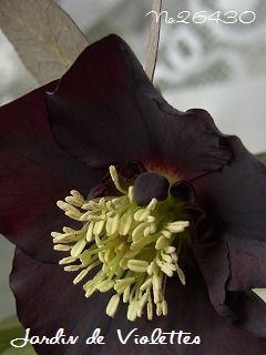 e0118257_2140312.jpg
