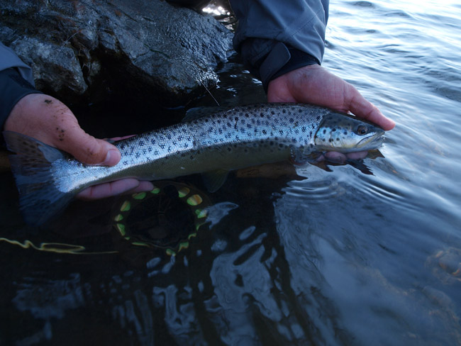 e0136764_0406.jpg