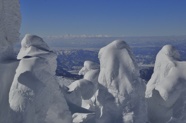 2011.2.16 山形蔵王　樹氷_c0187876_0492828.jpg