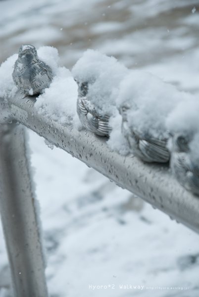 雪の大阪城 その壱_a0079784_22434471.jpg