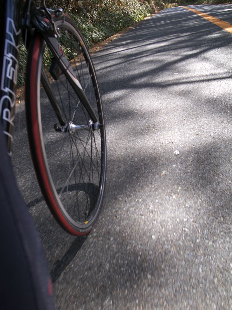 c0190391_15501777.jpg