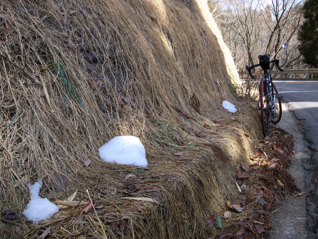 c0190391_15521336.jpg