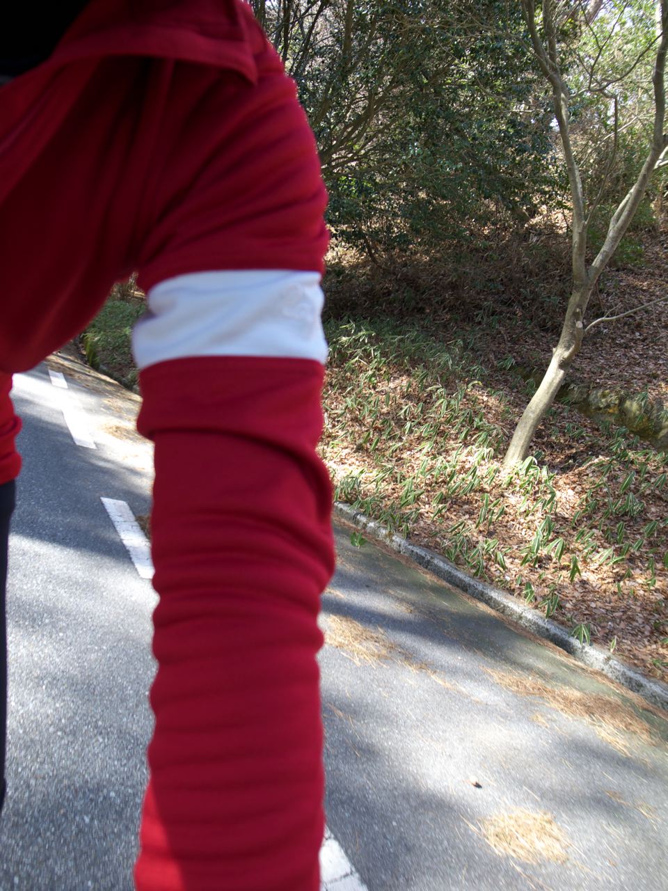 c0190391_15544029.jpg
