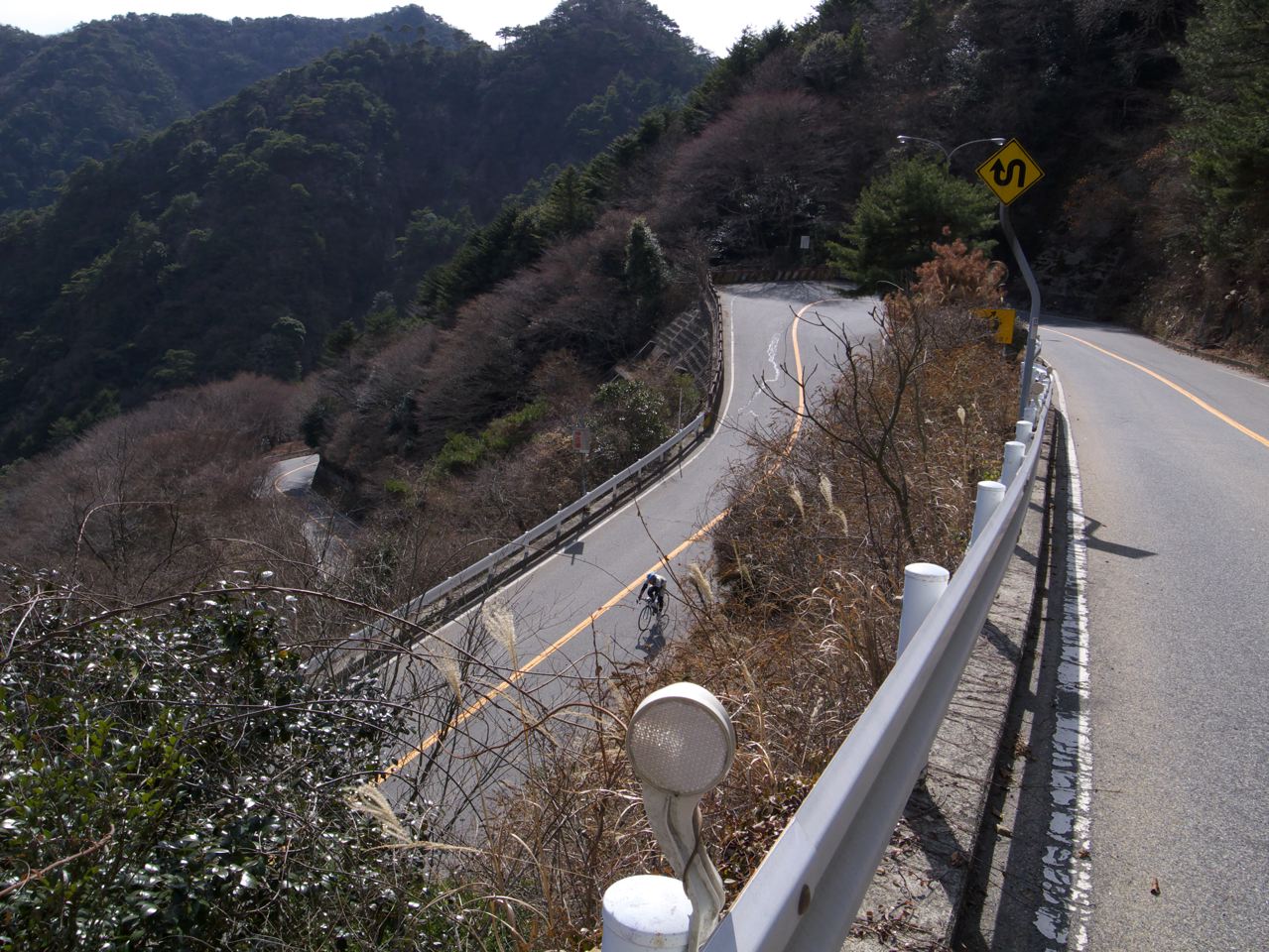 c0190391_1556078.jpg