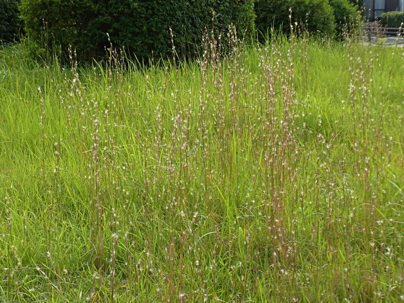f0204094_23364747.jpg
