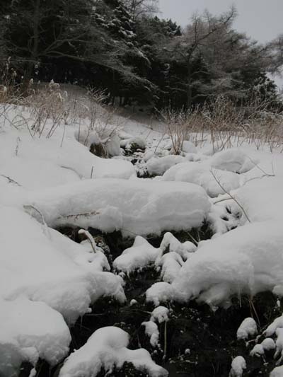 水のトラブル_e0120896_752622.jpg