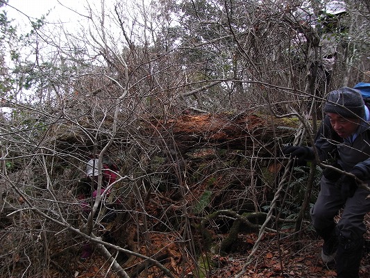 ’11-2：雲仙舞岳「里山藪行」_f0187402_18443059.jpg