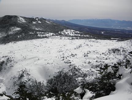 d0032405_21564961.jpg