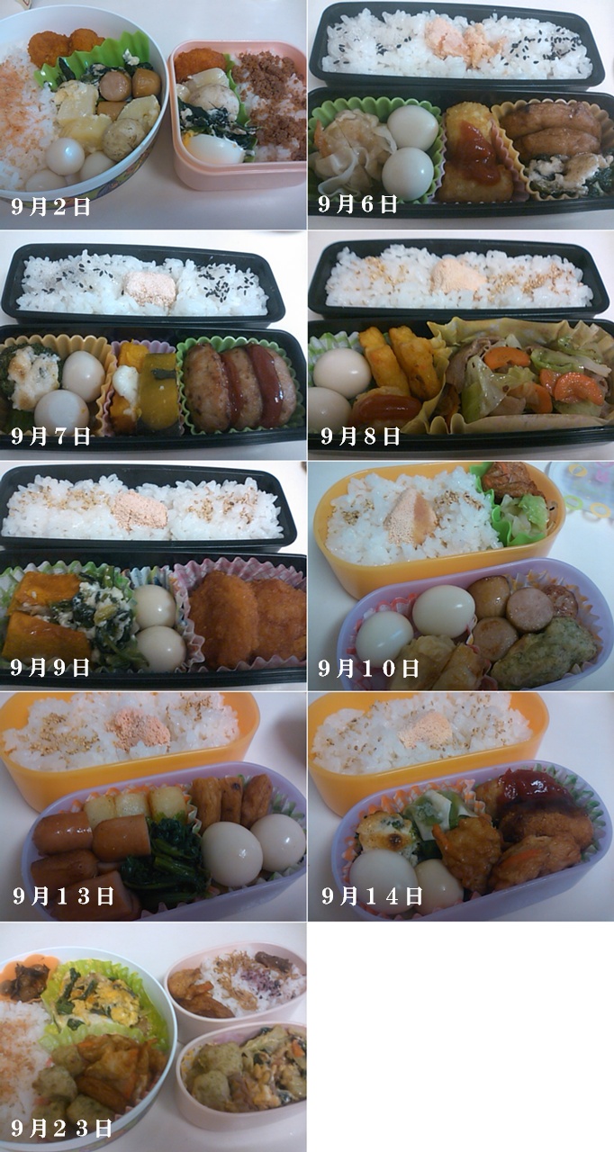 9月のお弁当_e0171608_9485410.jpg