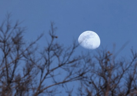 a0152009_21574330.jpg