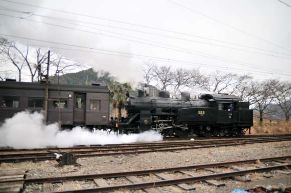 大井川鉄道に行ってきました_f0229311_2333790.jpg