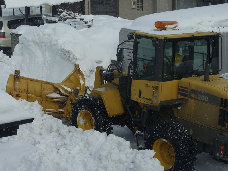 排雪サンデー_c0025115_22175751.jpg