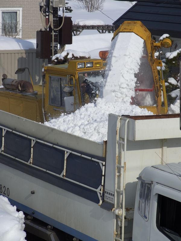 排雪サンデー_c0025115_22303599.jpg