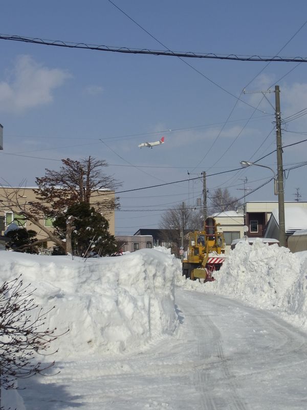 排雪サンデー_c0025115_22393484.jpg