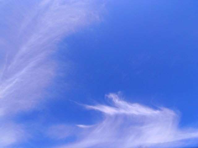 f0209122_1437339.jpg
