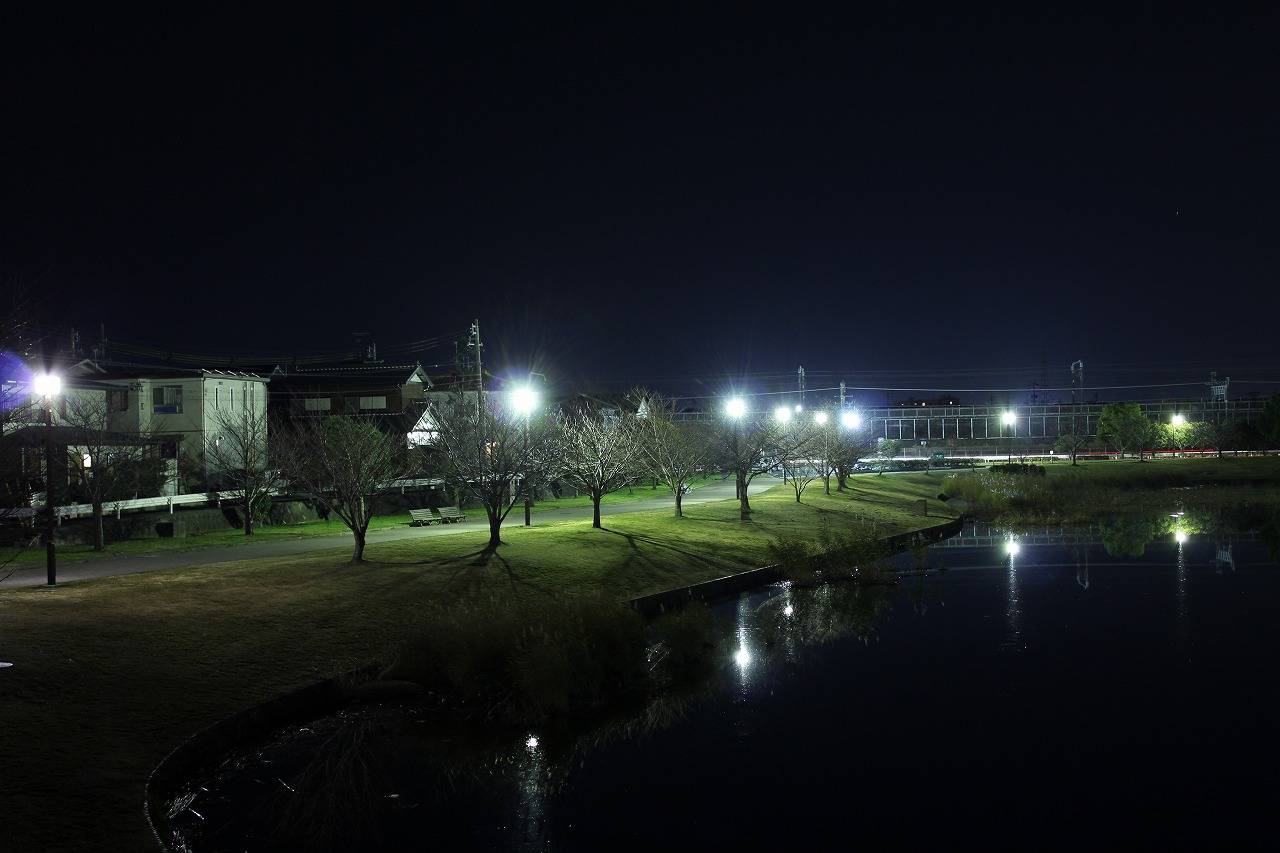 豊橋市 幸公園 夜スナップ デジイチ 絵 豊橋市 幸公園 夜スナップ デジイチ 絵