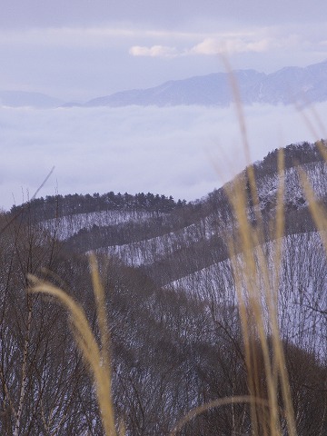 乙女滝_c0077531_23301485.jpg