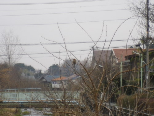 c0178231_19472428.jpg