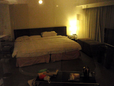 台湾旅行記1日目・前編_b0102637_19504640.jpg