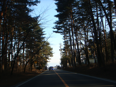 a0014840_11293170.jpg